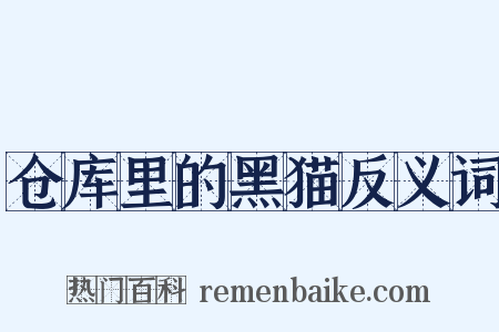 仓库里的黑猫反义词是什么意思的图片